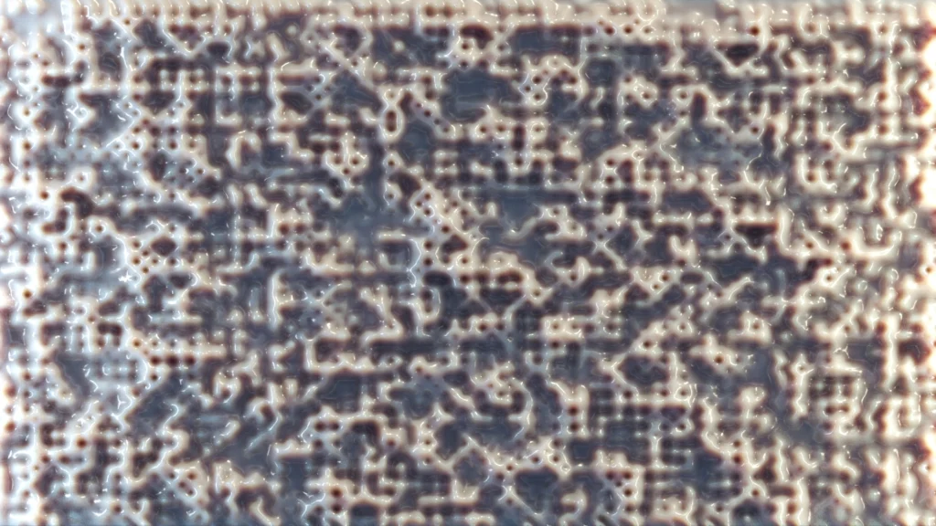 Mycelium network